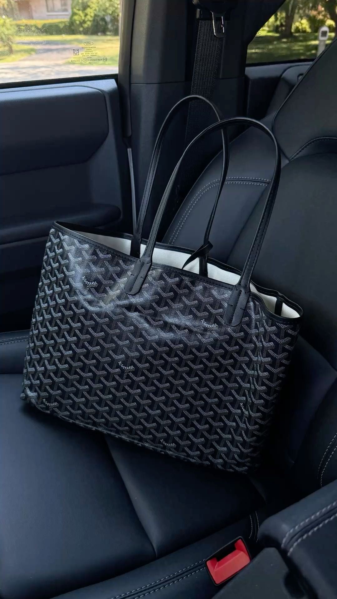 Goyard Artois MM Bag